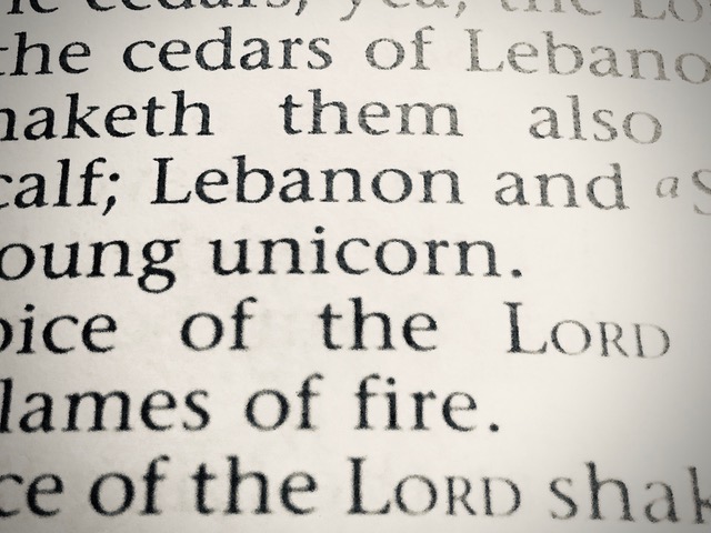 Corn and Unicorns: Misleading Mental Representations from the KJV