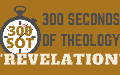 300SOT#2: What Is Revelation?