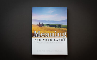 New Book: Meaning for Your Labor